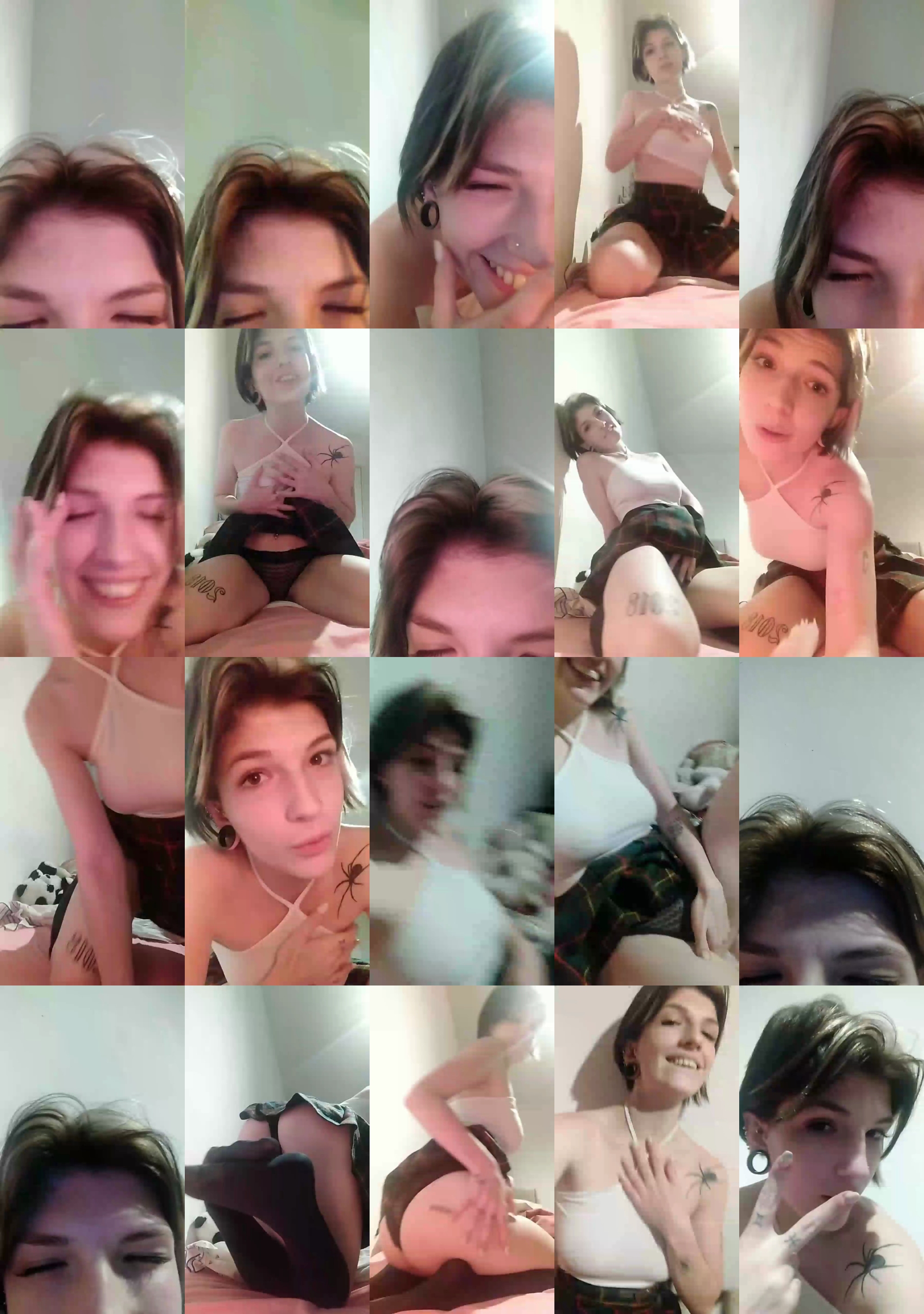 alexa_kitten  20-03-2022